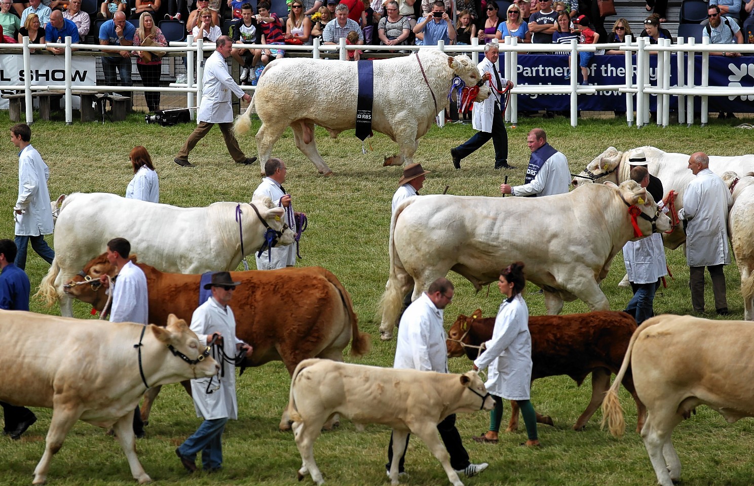 highland show tours