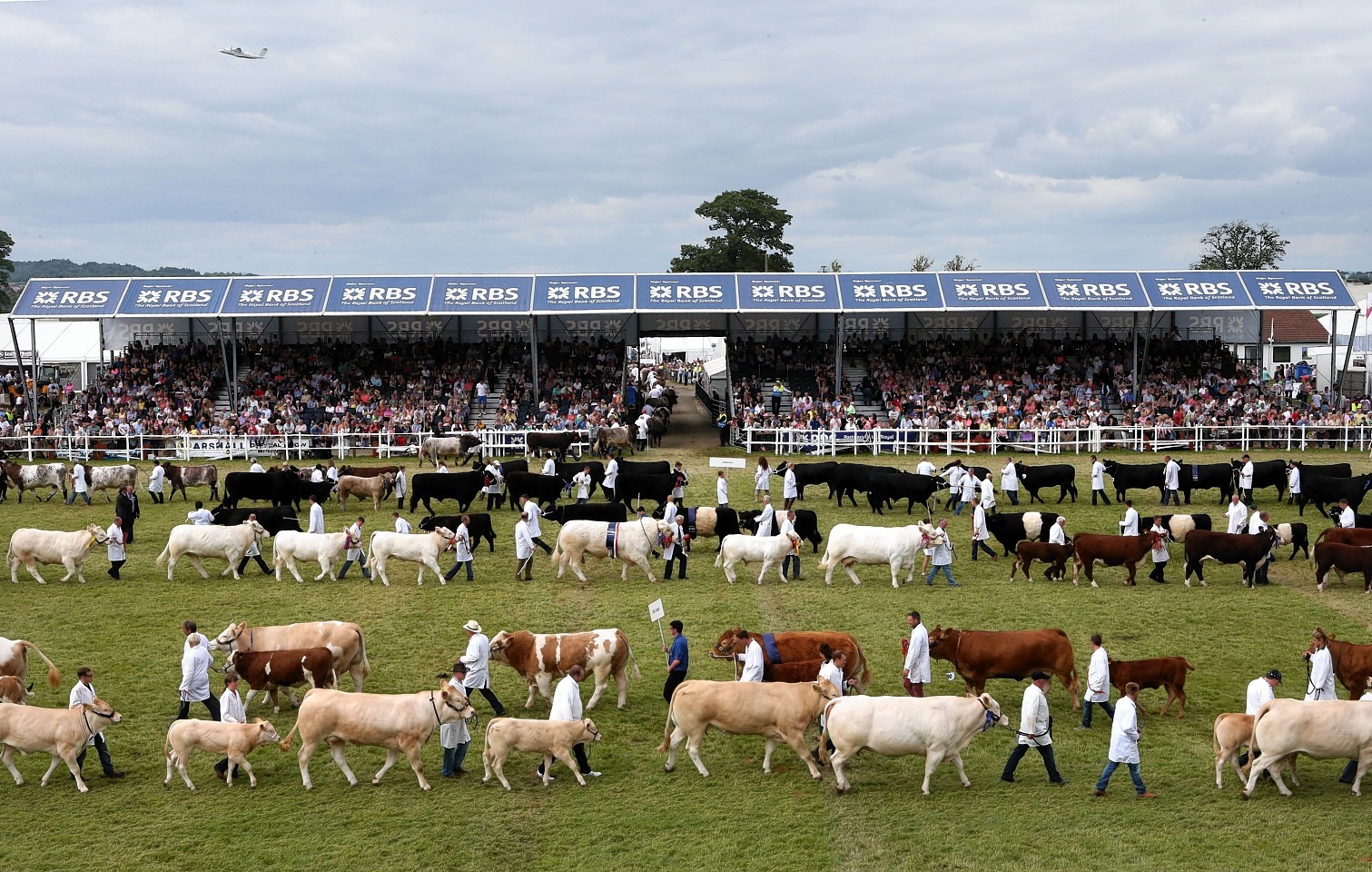 Royal Highland Show Alchetron, The Free Social Encyclopedia