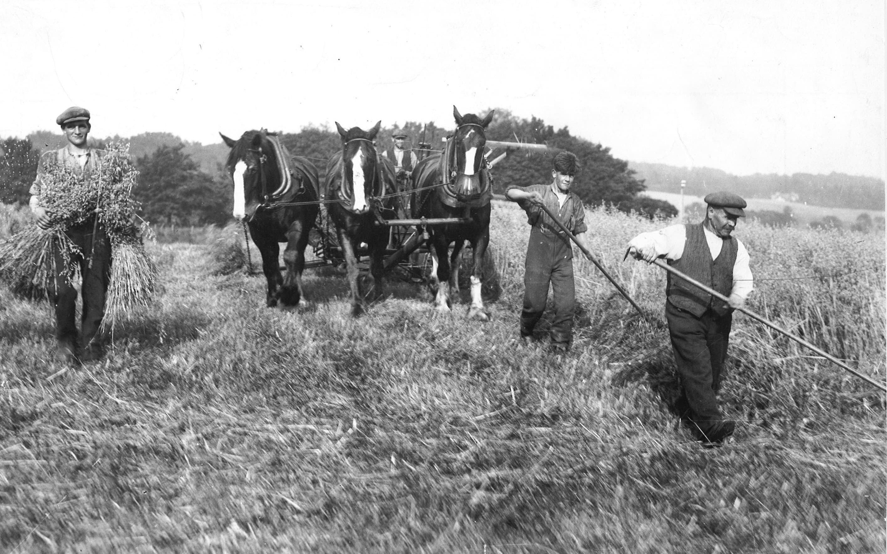 17 Pictures Of Scottish Farming Life Through The Years Press And Journal