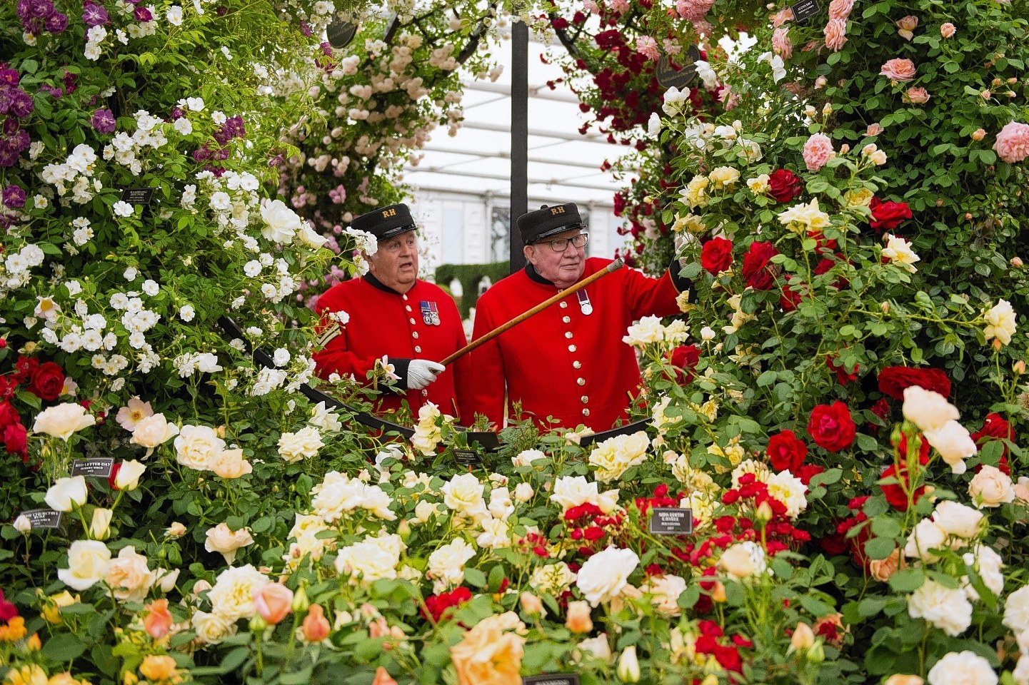 Chelsea Flower Show Celebrities begin to arrive