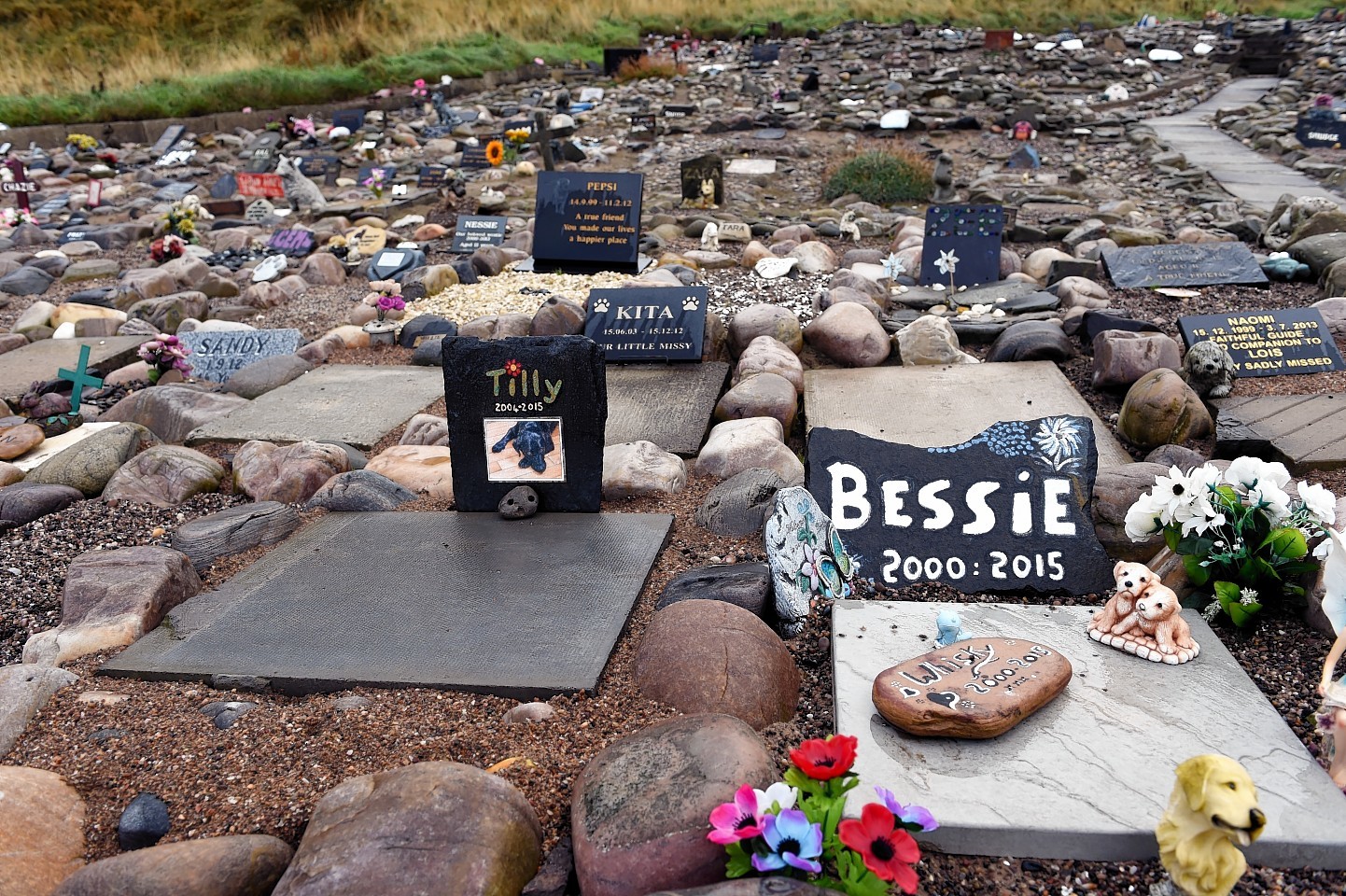 Landowners pledge to support Cullen pet cemetery Press and Journal