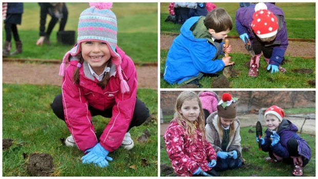 Pupils from Milne's Primary School in Fochabers visited Gordon Castle, on the outskirts of the village, yesterday to hone their gardening skills. Pics by Gordon Lennox