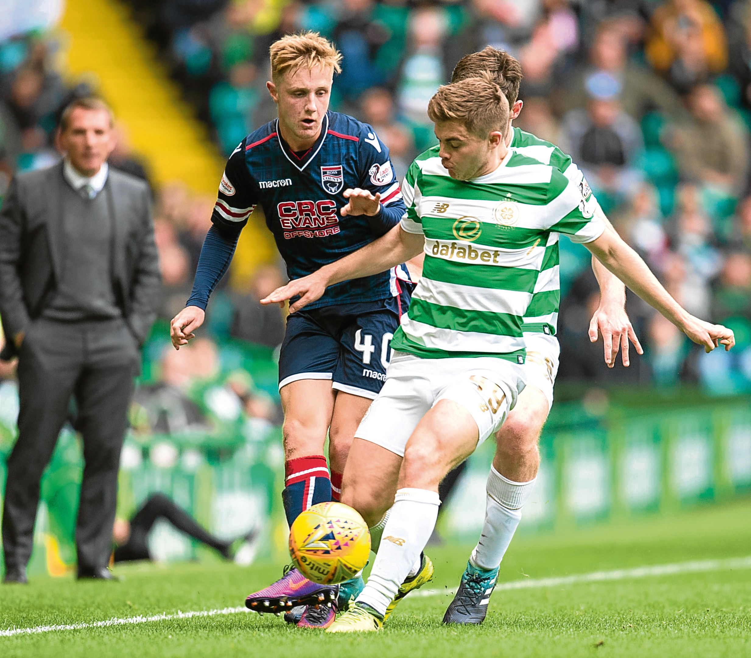 County can expect full force of Celtic winger Forrest’s fire County can expect full force of Celtic winger Forrest’s fire
