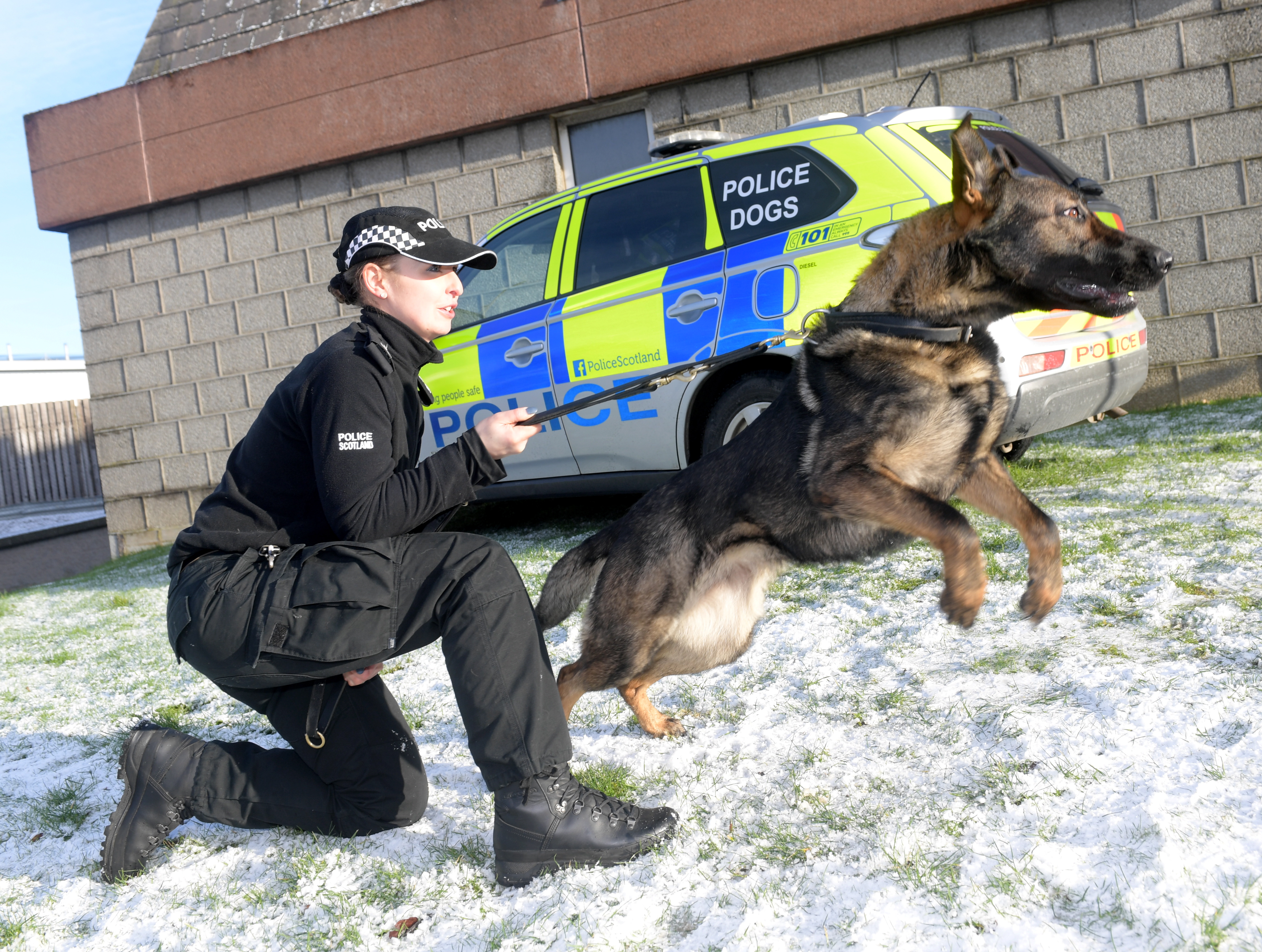 Police Mark 60th Anniversary Of North East Dog Unit Press