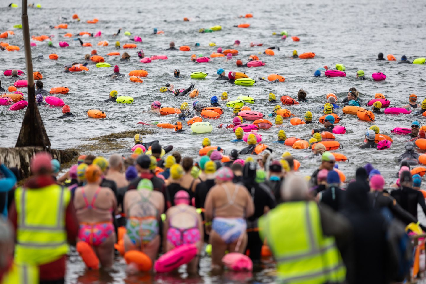 Bright smiles and brighter colors as swimmers take the plunge in the Kessock Ferry Swim