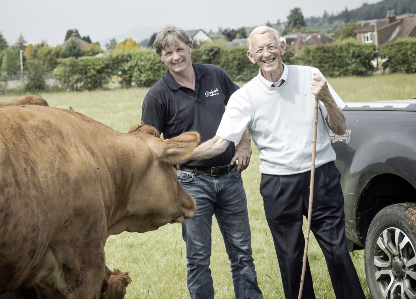 Grahams Limousins prepares for the show ring