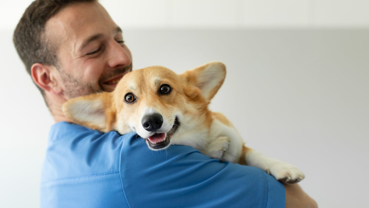 The vet hospital ensuring your pets are in the best hands