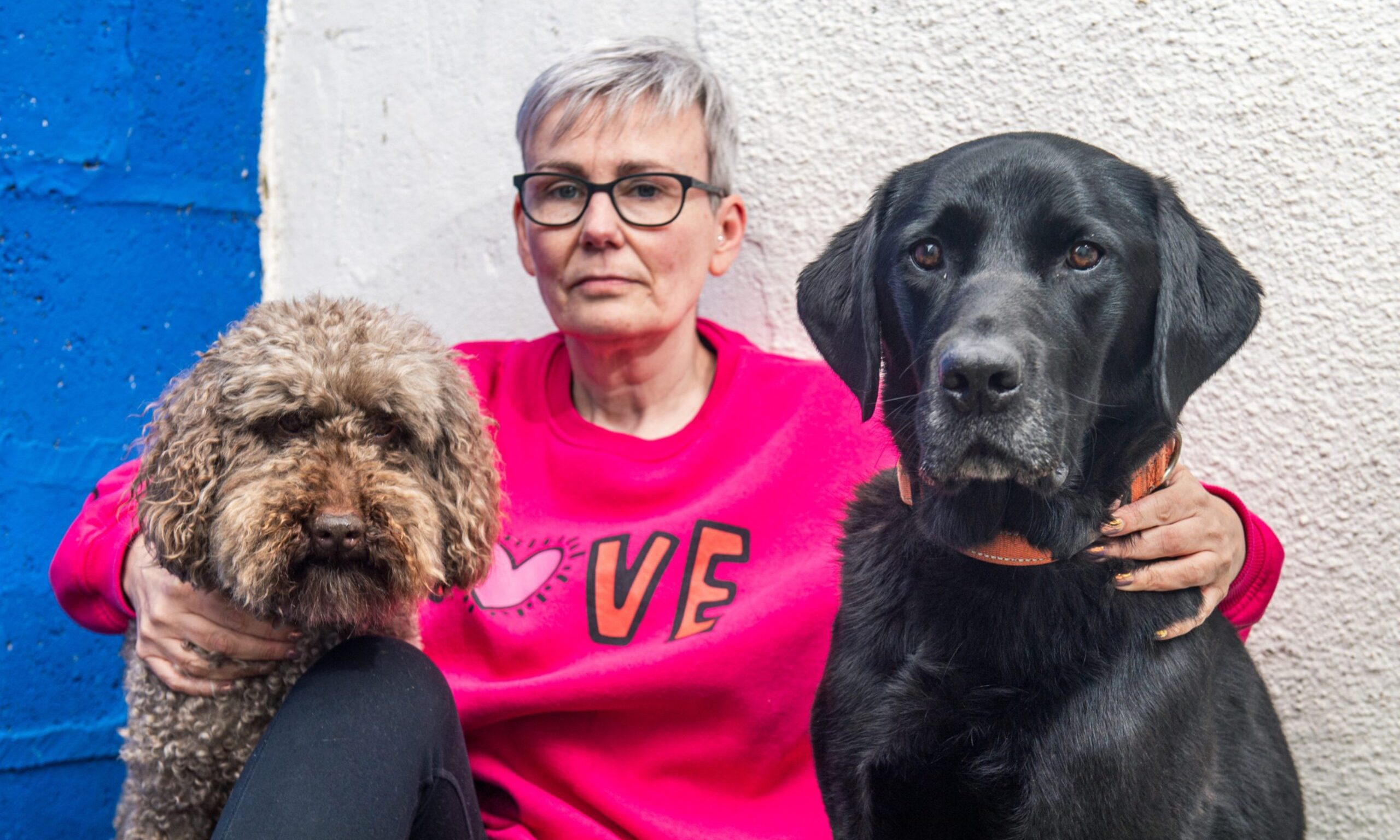 Thousands back fight to keep out-of-hours vet care in Moray