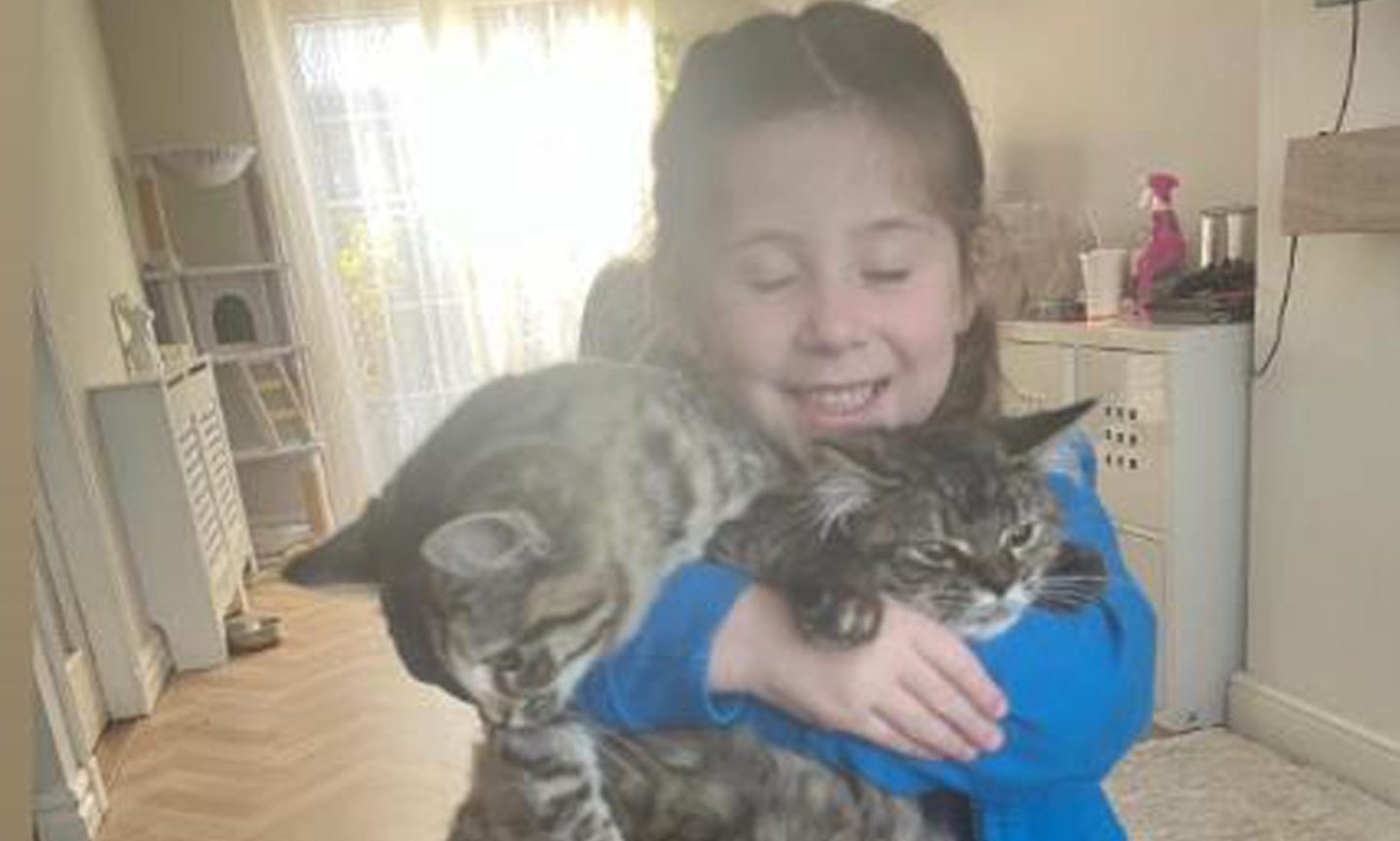 Cove mum searching for answers after cats found dead